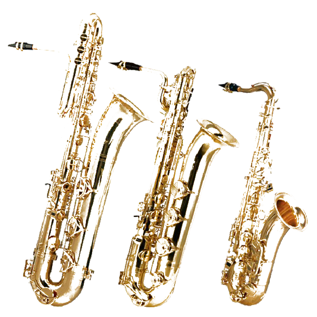 Саксофон - инструмент с королевским титулом